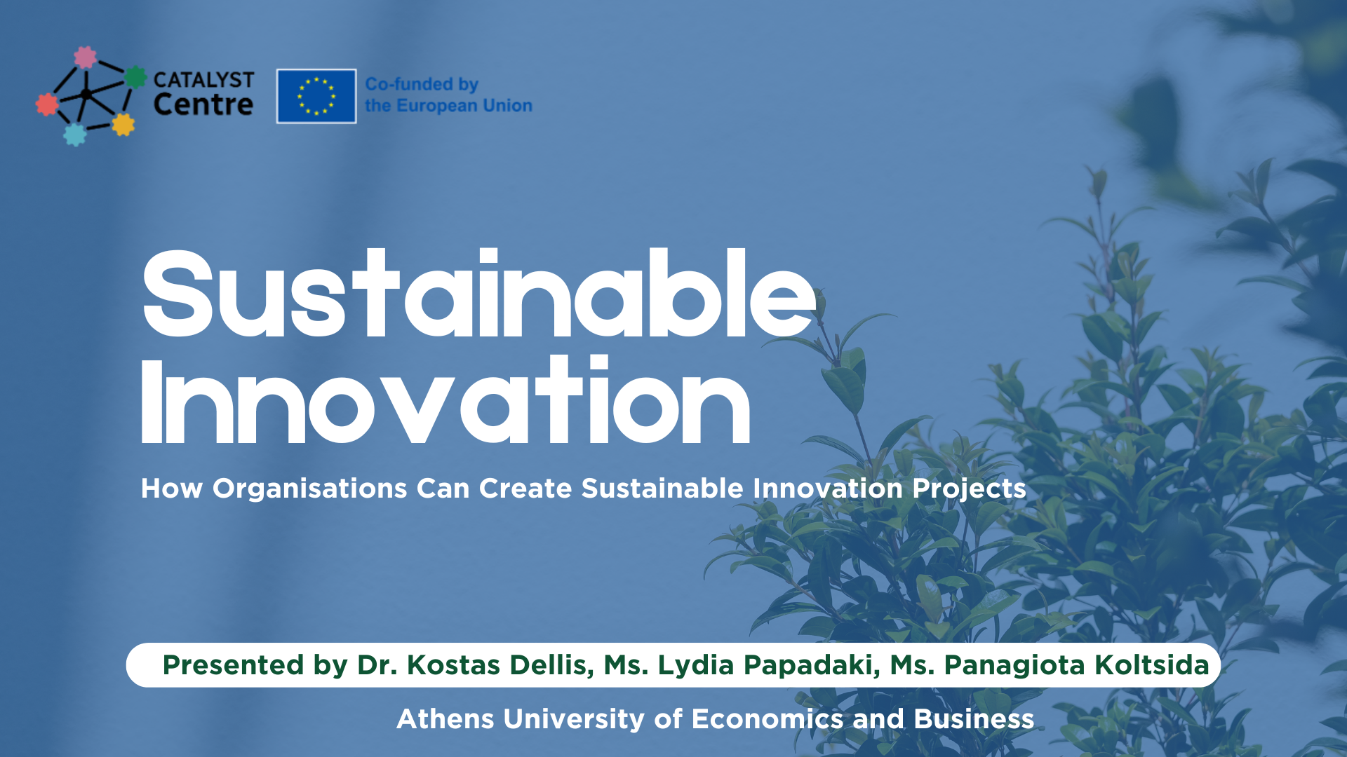 Sustainable Innovation: How Organisations Can Create Sustainable Innovation Projects