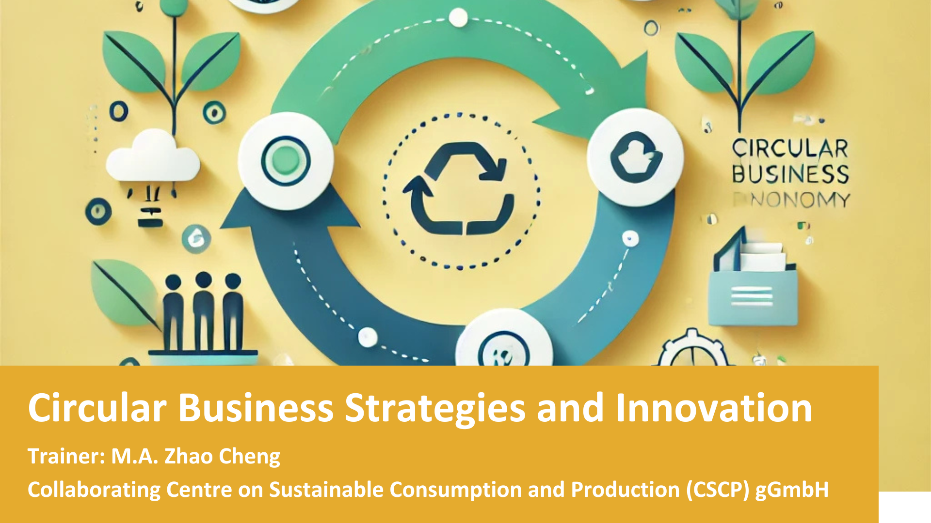 Circular Business Strategies and Innovation