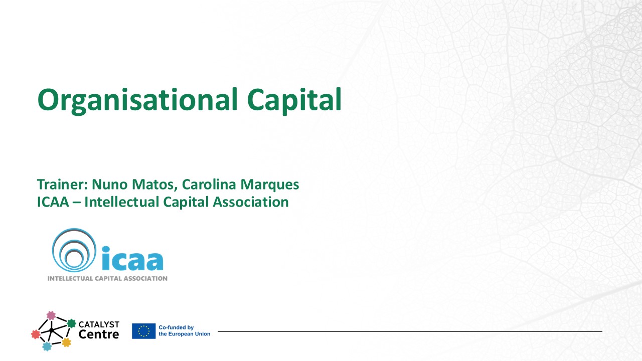 Organisational Capital