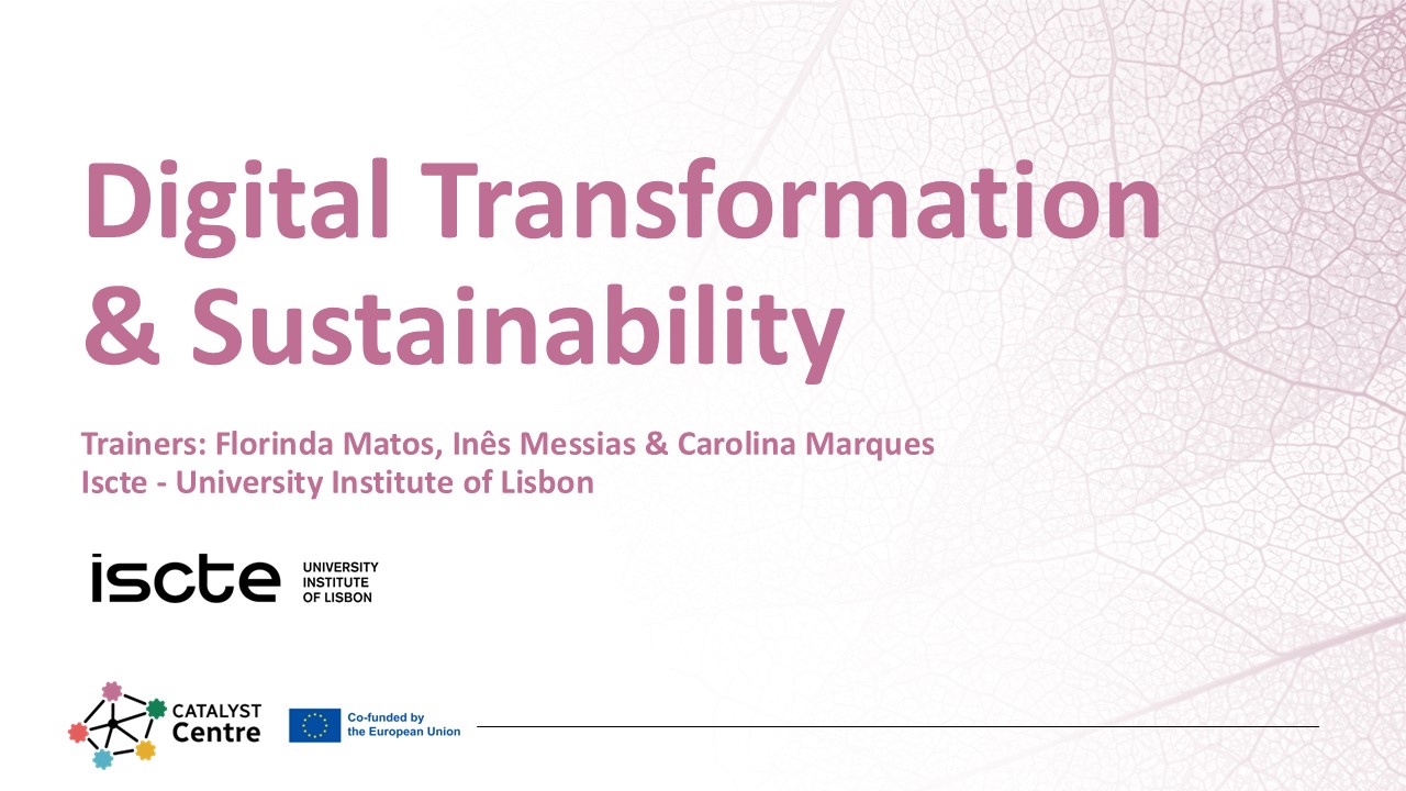 Digital Transformation and Sustainability