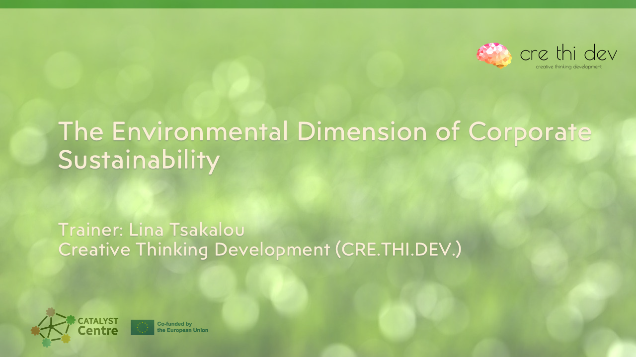 The Environmental Dimension of Corporate Sustainability