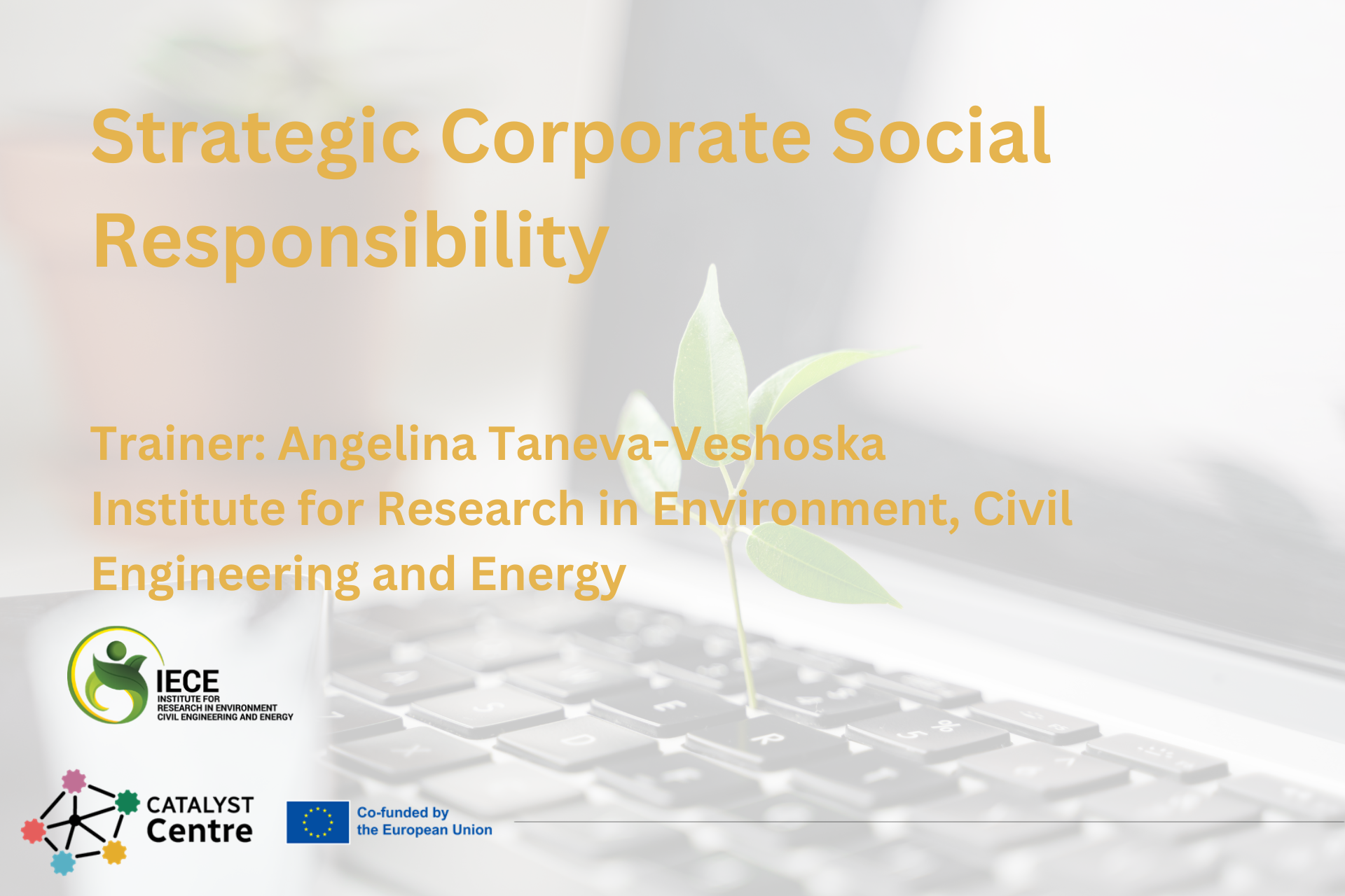 Strategic Corporate Social Responsibility